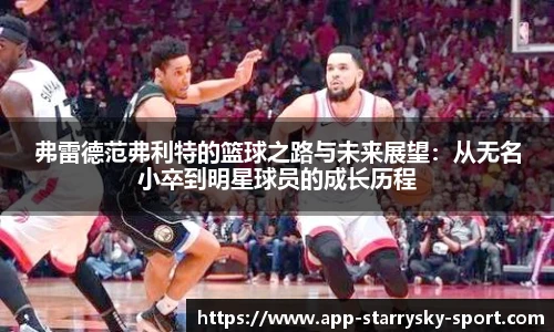 星空体育官网