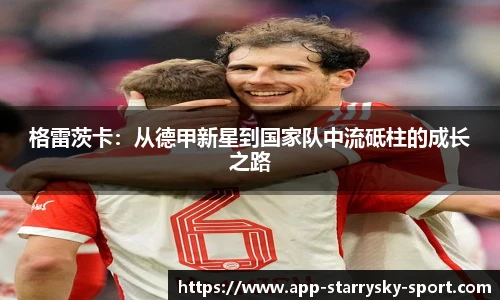 星空体育官网入口